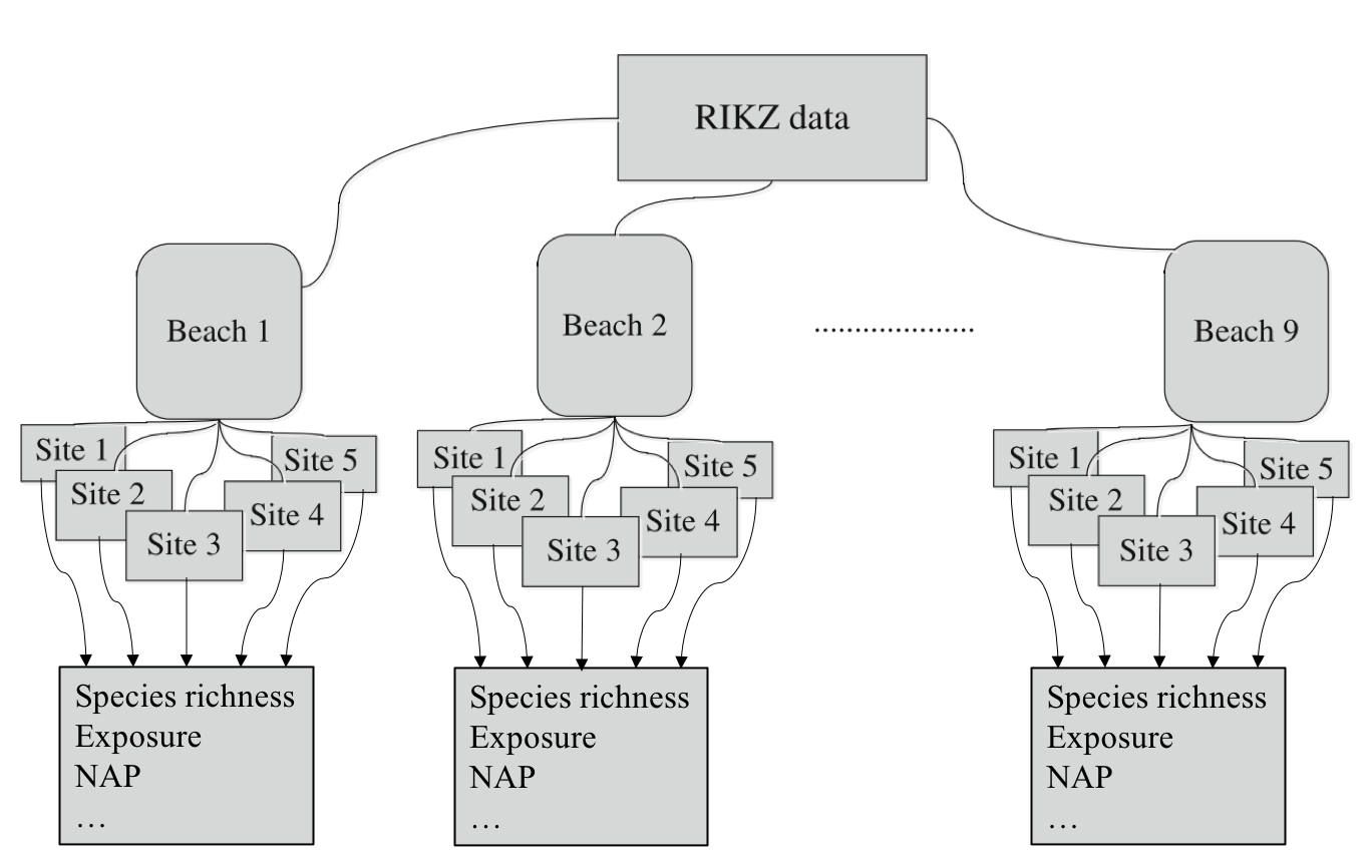 Figure 1: Diagrammatic representation of the RIKZ dataset